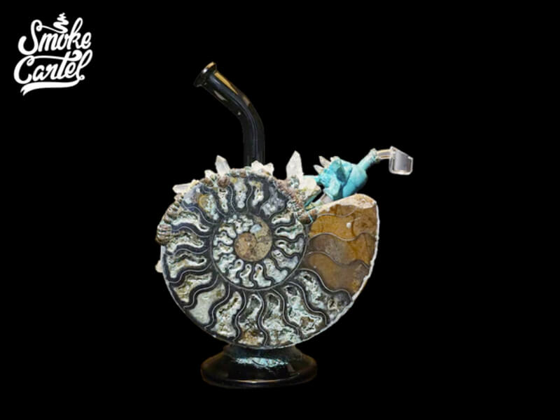 Envy Glass "Ammonite" Heady Dab Rig